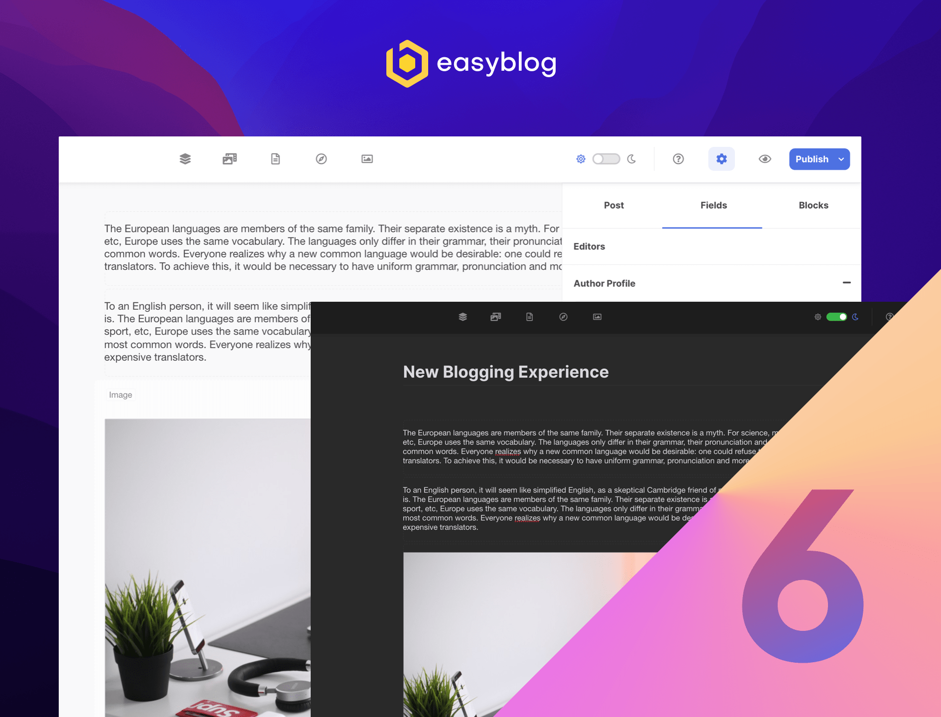 EasyBlog 6.0 RC1
