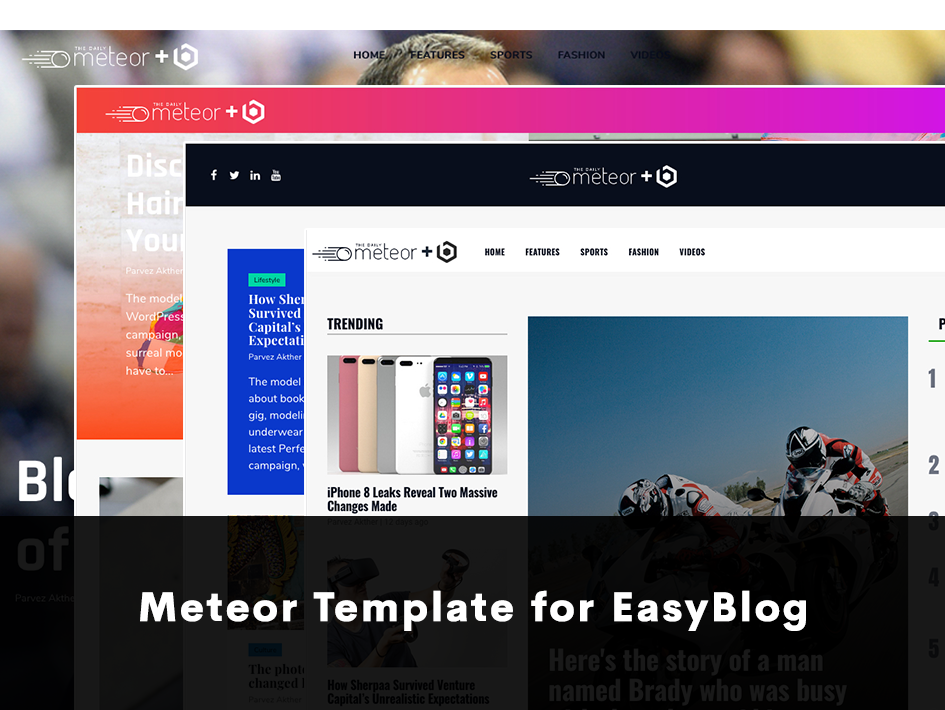 ThemeXpert's Meteor Template for EasyBlog