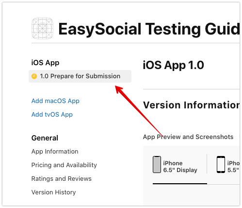 AppStore App Information