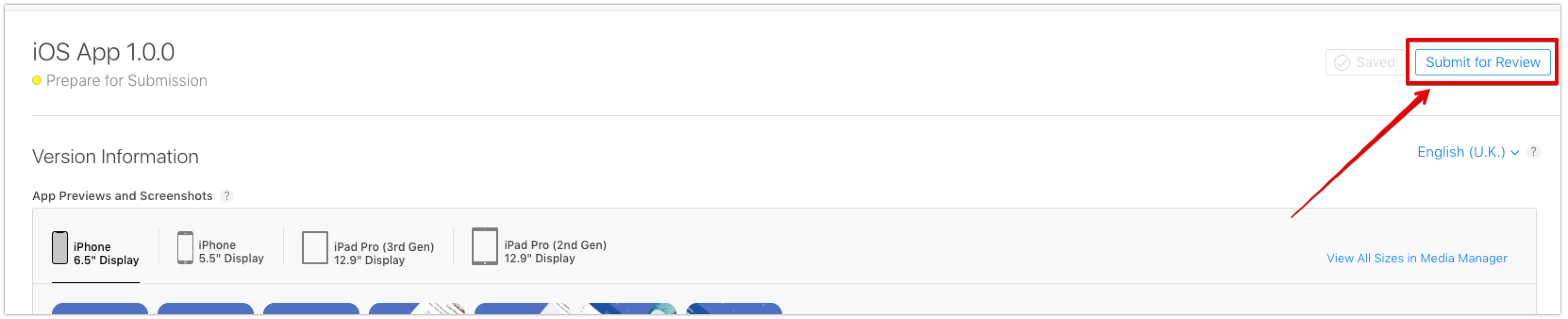 AppStore App Information