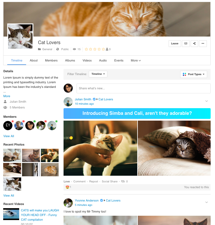 EasySocial - Groups Introduction